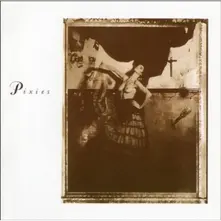 SURFER ROSA thumbnail
