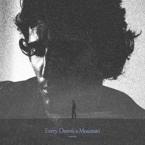 Tamino – Vinyl EVERY DAWN'S A MOUNTAIN