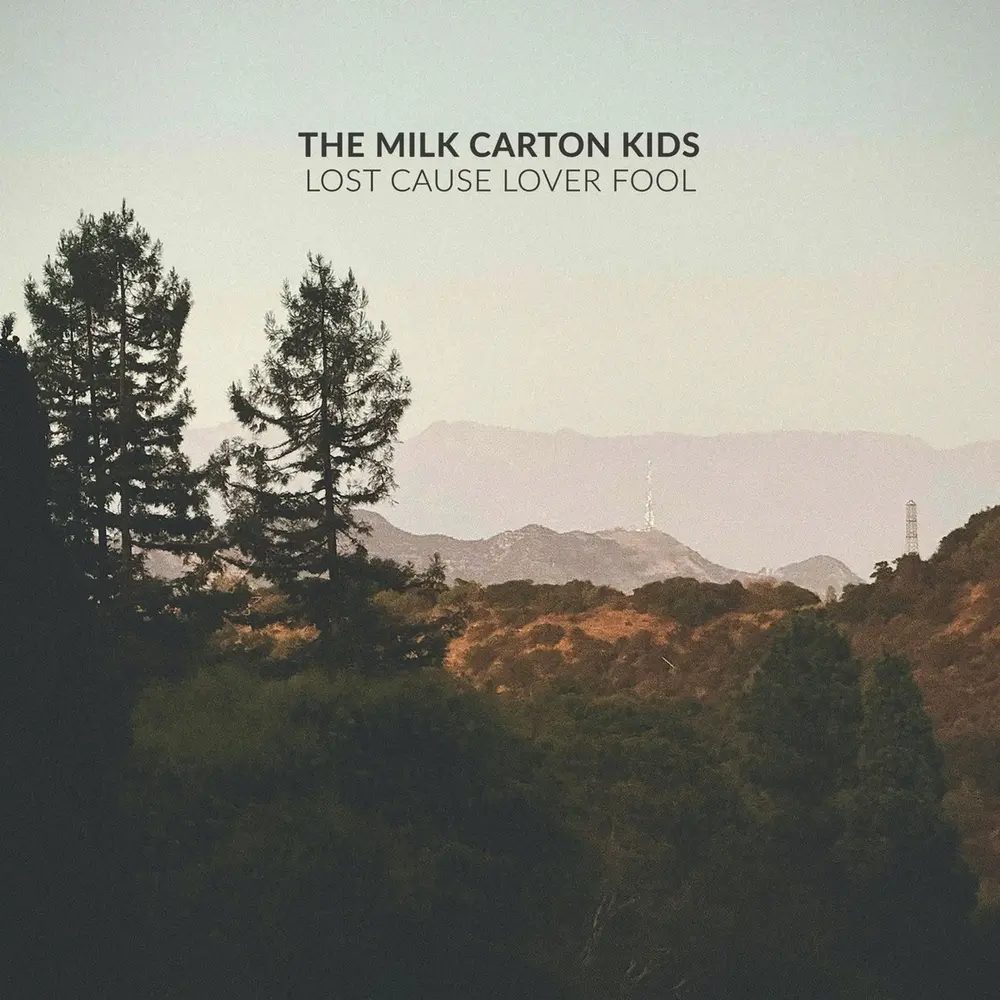 LOST CAUSE LOVER FOOL
