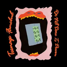 Teenage Fanclub – DO NOT DARE TO DREAM (CD)