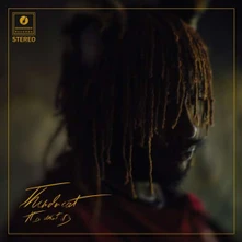 Thundercat, CD Thundercat - It is What It is