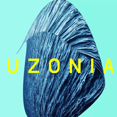 Matthew Collings – CD UZONIA