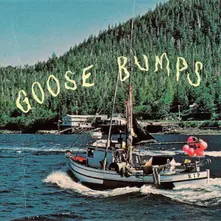 BOYSCOTT, Vinyl GOOSE BUMPS