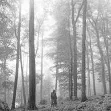FOLKLORE thumbnail