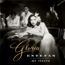 Gloria Estefan – Mi Tierra (Vinyl)