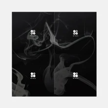 BTS, CD WINGS