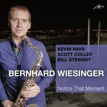 Bernhard Wiesinger, CD NOTICE THAT MOMENT
