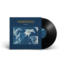 Vinyl DISTRACTIONS