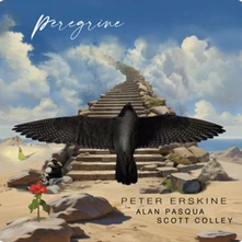 Vinyl PEREGRINE