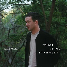 Tashi Wada, Vinyl WHAT IS NOT STRANGE?