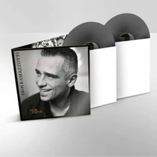 Eros Ramazzotti, Vinyl Ali e Radici