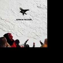 Safe to Say – DOWN IN THE DARK (Vinyl)