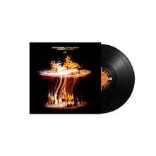 Irreversible Entanglements, Vinyl PROTECT YOUR LIGHT