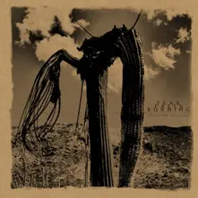 FUNCTION COLLAPSE thumbnail