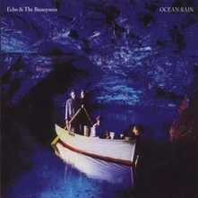 Echo & the Bunnymen, Vinyl OCEAN RAIN