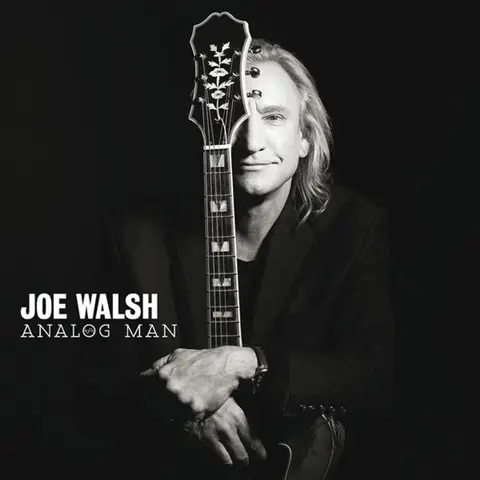 Joe Walsh – CD ANALOG MAN