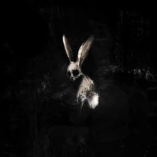 GHØSTKID, CD FOLLOW THE WHITE RABBIT