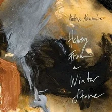 Ambrose Akinmusire, CD HONEY FROM A WINTER STONE