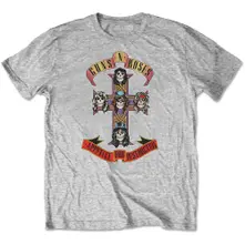 Appetite for Destruction