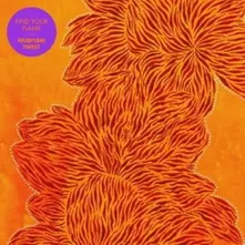 Nubiyan Twist – FIND YOUR FLAME (Vinyl)