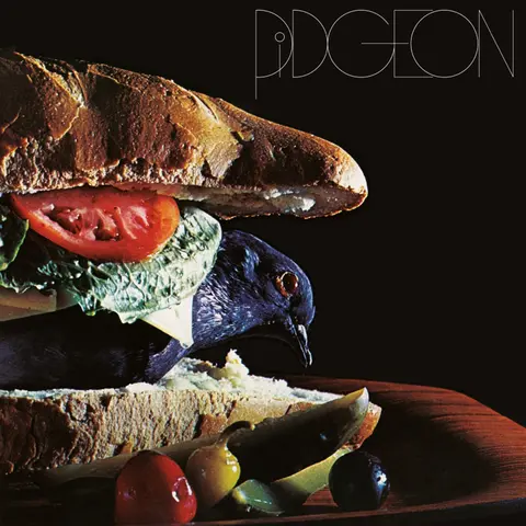 PIDGEON