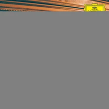 Vinyl PARALLELS: SHELLAC REWORKS