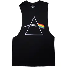 Dark Side of the Moon Album thumbnail