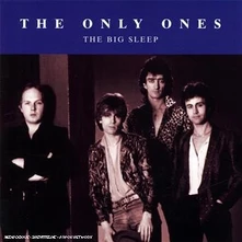 CD BIG SLEEP