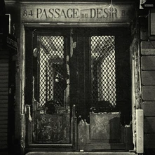 Vinyl PASSAGE DU DESIR