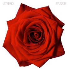 Luc Steeno, CD PASSIE