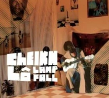 CD LAMP FALL