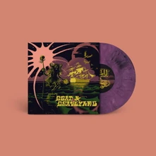 Vinyl 7-SHIP OF FOOLS/LIGHT AS A FEATHER