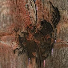 Avey Tare's Slasher Flicks, CD ENTER THE SLASHER HOUSE