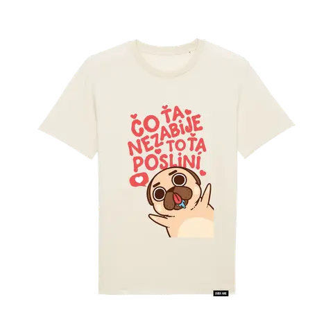 Čo ťa nezabije, to ťa posliní
