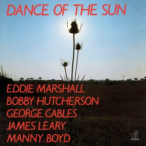 DANCE OF THE SUN