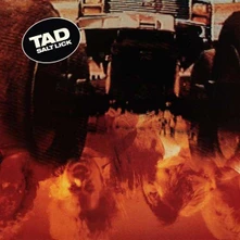 Tad, Vinyl TAD - SALT LICK