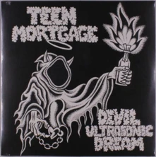 Vinyl DEVIL ULTRASONIC DREAM