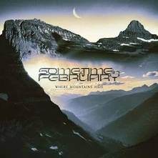 Sometime In February, Vinyl Where Mountains Hide
