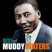 THE BEST OF MUDDY WATERS thumbnail