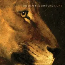 CD LIONS