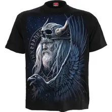 Odin's Warrior thumbnail