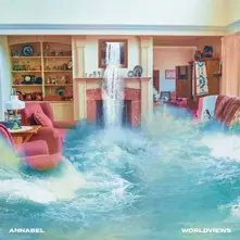 Vinyl WORLDVIEWS
