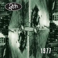 1977 thumbnail