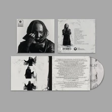 CD Distracted