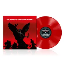 Vinyl TERRIFYING ANGELS