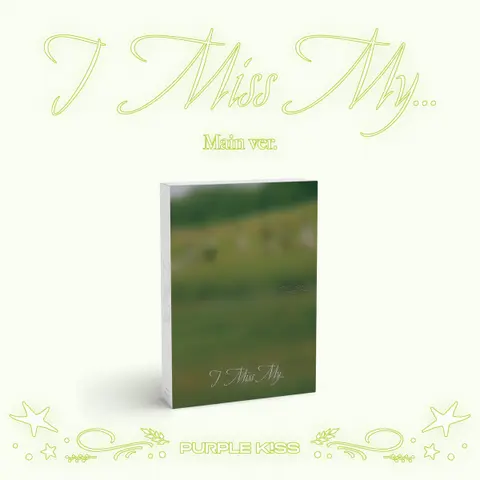 I Miss My...