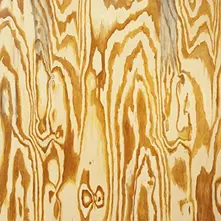 MAZES - WOODEN AQUARIUM thumbnail