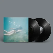 Vinyl WINDSWEPT ADAN