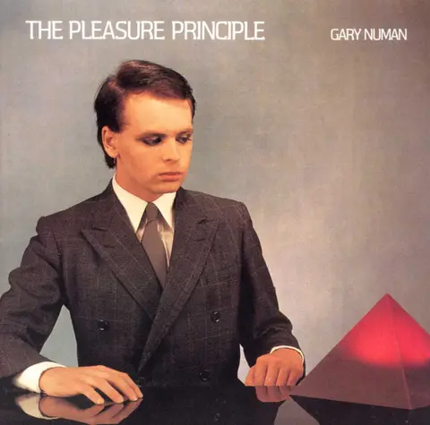 PLEASURE PRINCIPLES