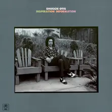 Shuggie Otis – Inspiration Information (Vinyl)
